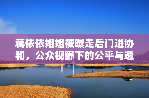 蒋依依姐姐被曝走后门进协和，公众视野下的公平与透明