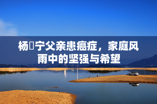 杨祐宁父亲患癌症，家庭风雨中的坚强与希望