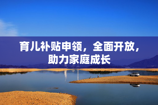 育儿补贴申领，全面开放，助力家庭成长