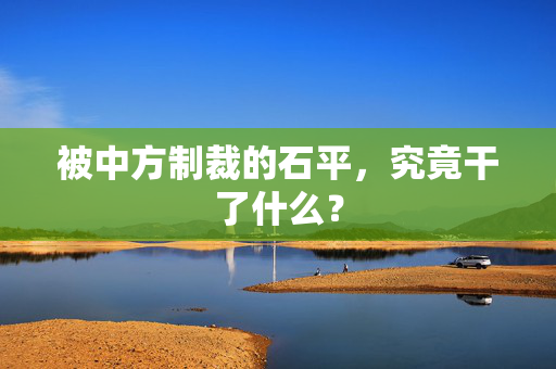 被中方制裁的石平，究竟干了什么？