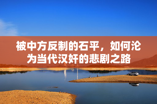 被中方反制的石平，如何沦为当代汉奸的悲剧之路