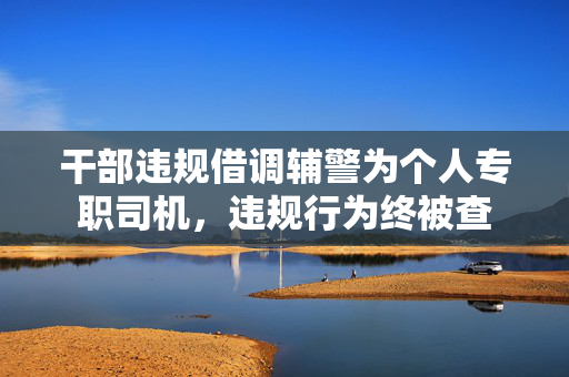 干部违规借调辅警为个人专职司机，违规行为终被查