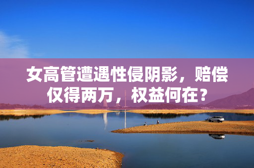 女高管遭遇性侵阴影，赔偿仅得两万，权益何在？