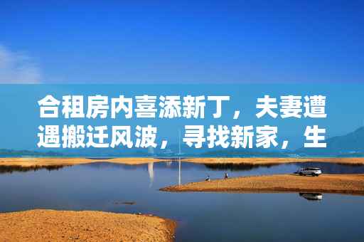 合租房内喜添新丁，夫妻遭遇搬迁风波，寻找新家，生活再启航