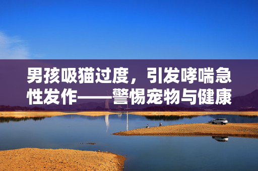 男孩吸猫过度，引发哮喘急性发作——警惕宠物与健康之间的微妙关系
