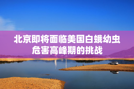 北京即将面临美国白蛾幼虫危害高峰期的挑战
