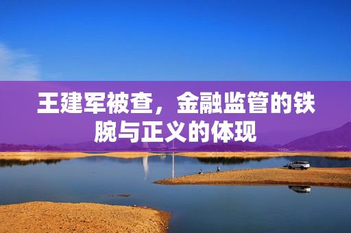 王建军被查，金融监管的铁腕与正义的体现