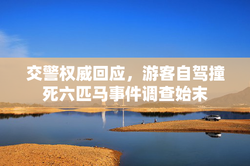 交警权威回应，游客自驾撞死六匹马事件调查始末