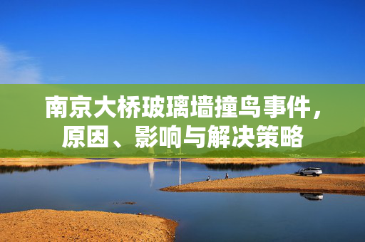 南京大桥玻璃墙撞鸟事件，原因、影响与解决策略
