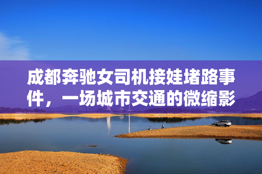 成都奔驰女司机接娃堵路事件，一场城市交通的微缩影