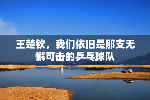 王楚钦，我们依旧是那支无懈可击的乒乓球队