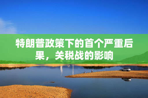 特朗普政策下的首个严重后果，关税战的影响