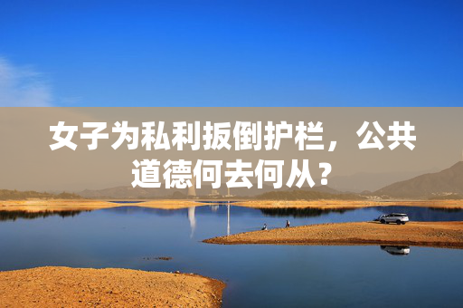 女子为私利扳倒护栏，公共道德何去何从？