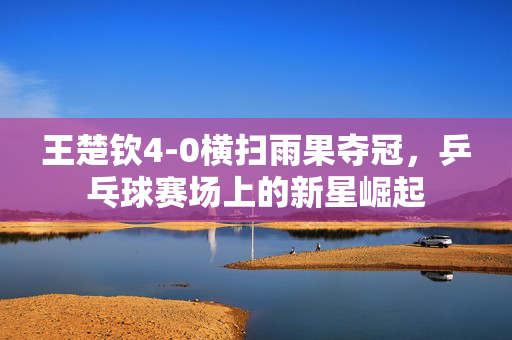 王楚钦4-0横扫雨果夺冠，乒乓球赛场上的新星崛起