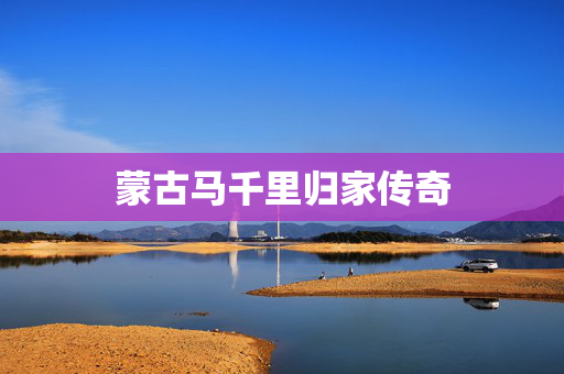 蒙古马千里归家传奇