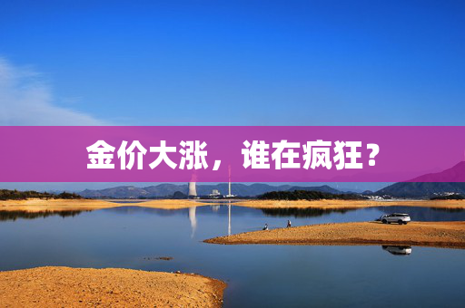 金价大涨，谁在疯狂？