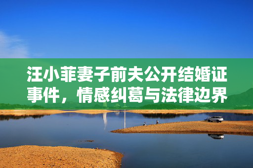 汪小菲妻子前夫公开结婚证事件，情感纠葛与法律边界的探讨