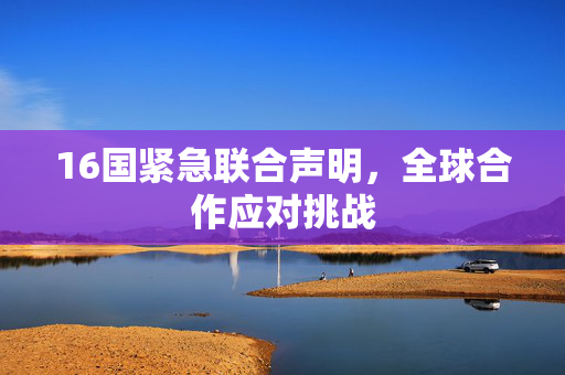 16国紧急联合声明，全球合作应对挑战