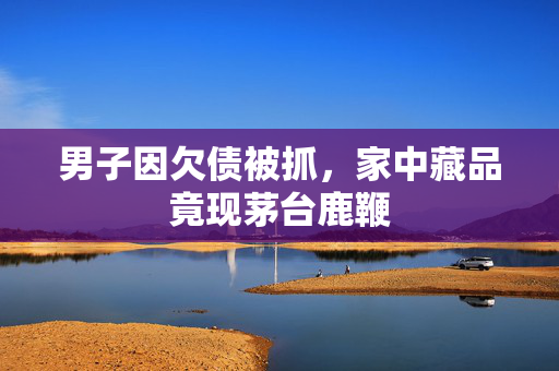 男子因欠债被抓，家中藏品竟现茅台鹿鞭