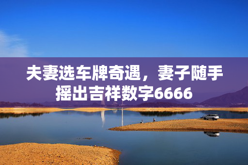 夫妻选车牌奇遇，妻子随手摇出吉祥数字6666