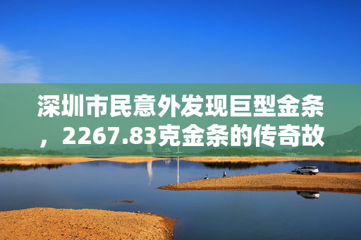 深圳市民意外发现巨型金条，2267.83克金条的传奇故事