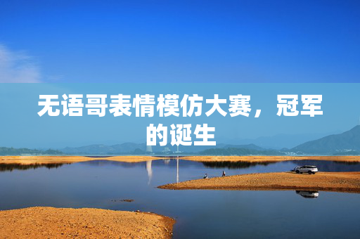 无语哥表情模仿大赛，冠军的诞生