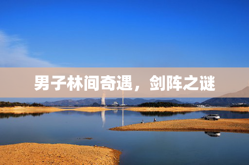 男子林间奇遇，剑阵之谜