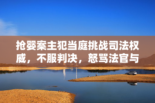 抢婴案主犯当庭挑战司法权威，不服判决，怒骂法官与同伙