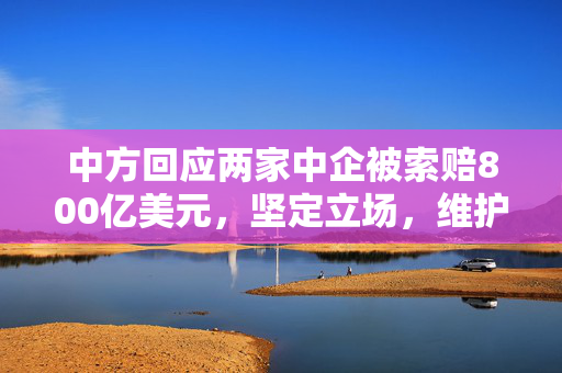 中方回应两家中企被索赔800亿美元，坚定立场，维护企业权益