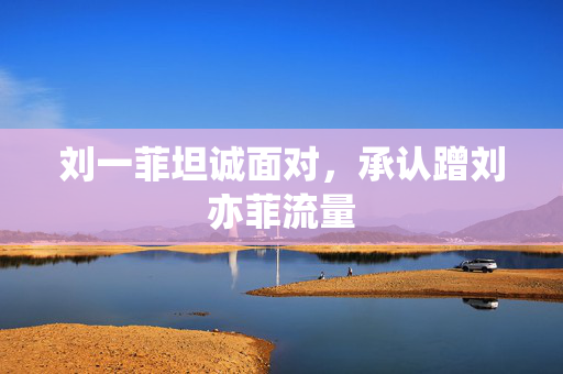 刘一菲坦诚面对，承认蹭刘亦菲流量