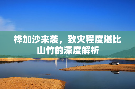 桦加沙来袭，致灾程度堪比山竹的深度解析