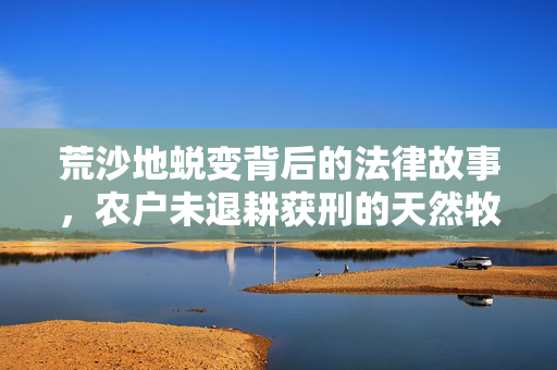 荒沙地蜕变背后的法律故事，农户未退耕获刑的天然牧草地之路