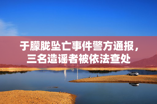 于朦胧坠亡事件警方通报，三名造谣者被依法查处