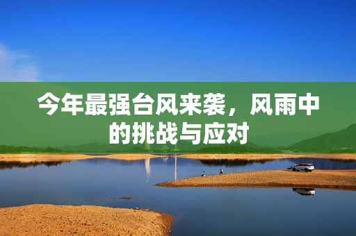 今年最强台风来袭，风雨中的挑战与应对