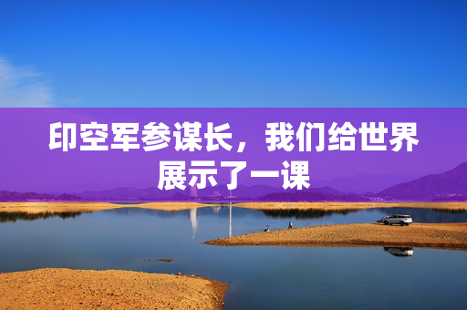 印空军参谋长，我们给世界展示了一课
