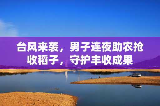 台风来袭，男子连夜助农抢收稻子，守护丰收成果