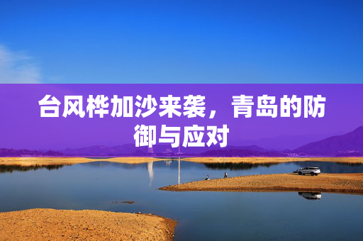 台风桦加沙来袭，青岛的防御与应对