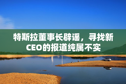 特斯拉董事长辟谣，寻找新CEO的报道纯属不实