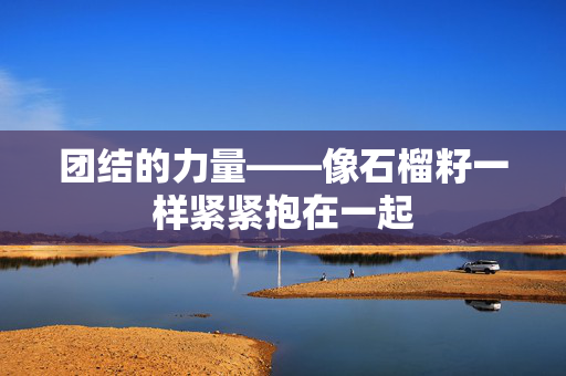 团结的力量——像石榴籽一样紧紧抱在一起