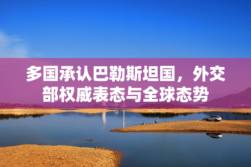多国承认巴勒斯坦国，外交部权威表态与全球态势
