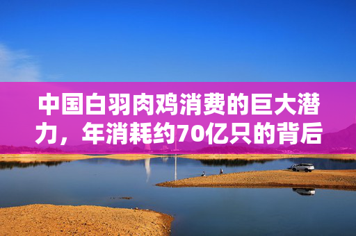 中国白羽肉鸡消费的巨大潜力，年消耗约70亿只的背后
