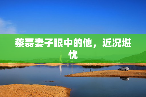 蔡磊妻子眼中的他，近况堪忧