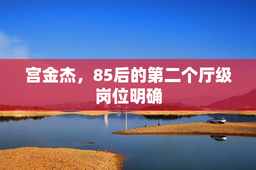 宫金杰，85后的第二个厅级岗位明确