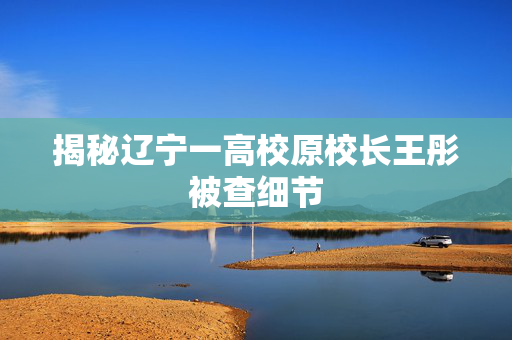 揭秘辽宁一高校原校长王彤被查细节