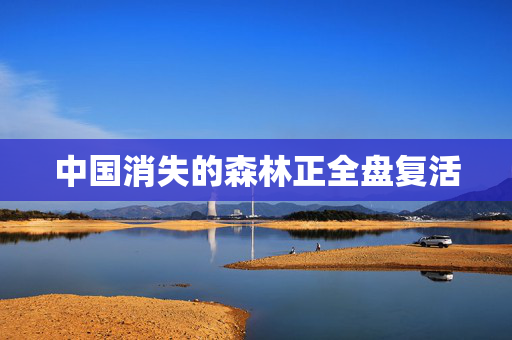 中国消失的森林正全盘复活