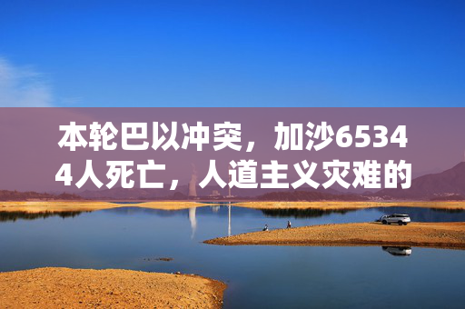 本轮巴以冲突，加沙65344人死亡，人道主义灾难的反思