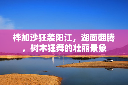 桦加沙狂袭阳江，湖面翻腾，树木狂舞的壮丽景象