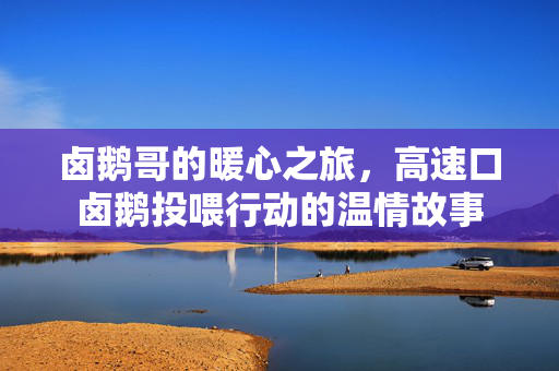 卤鹅哥的暖心之旅，高速口卤鹅投喂行动的温情故事