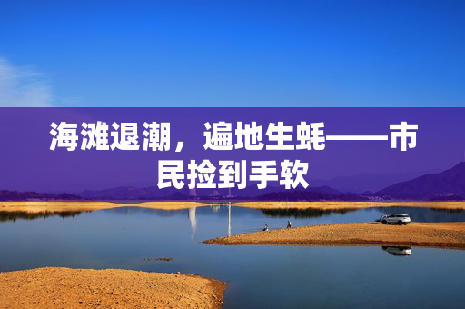 海滩退潮，遍地生蚝——市民捡到手软