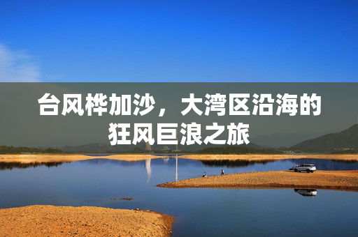 台风桦加沙，大湾区沿海的狂风巨浪之旅